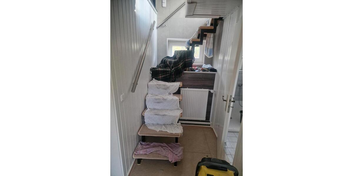 Etagenwohnung Ribbesbüttel - 2 Zimmer, 36 m&sup2;, 550&euro; | Angebot:24728425