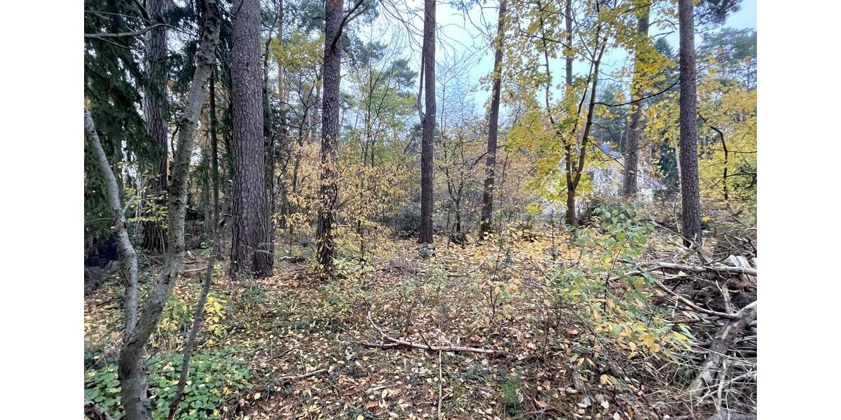 Grundstück Gifhorn - 199.000&euro; | Angebot:23741349