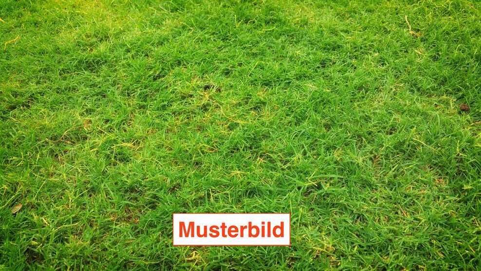 Grundstück zu verkaufen in Braunschweig 374.000 € 657 m²