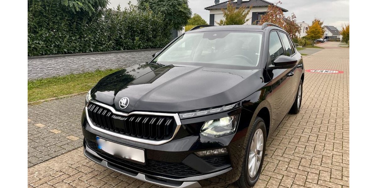Skoda Kamiq 55.000 km 21.750 &euro; Wolfenbüttel 38302
