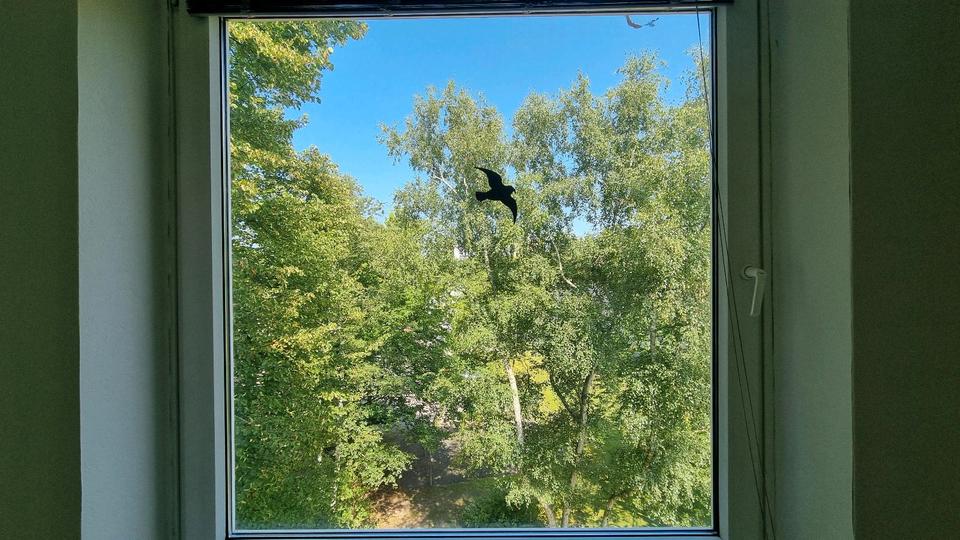 Etagenwohnung Wolfsburg Alt-Wolfsburg - 3 Zimmer, 65 m&sup2;, 175.000&euro; | Angebot:26025550