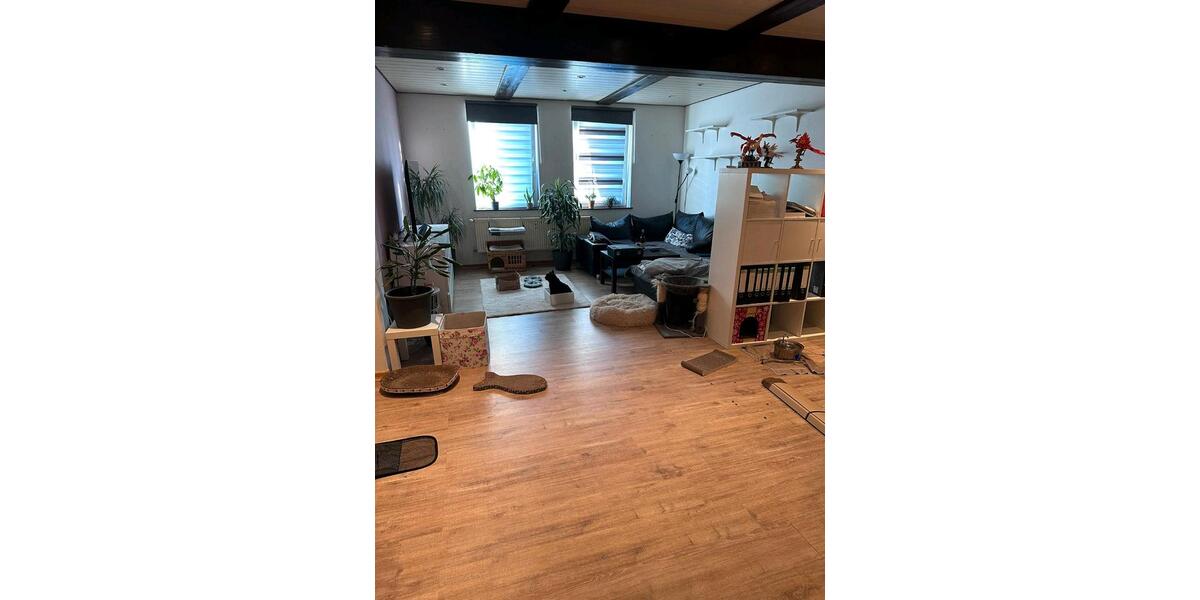 Erdgeschoßwohnung Vordorf - 2 Zimmer, 65 m&sup2;, 500&euro; | Angebot:25397251