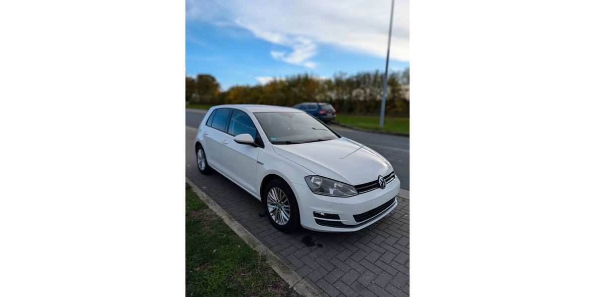 VW Golf 117.578 km 10.000 &euro; Isenbüttel 38550
