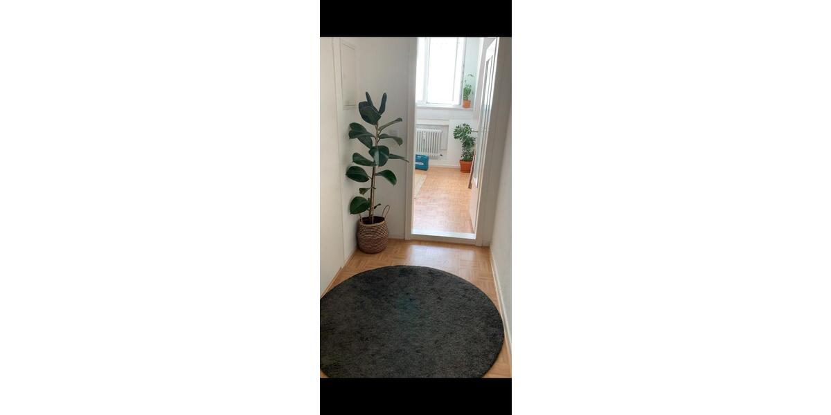 ANFRAGESTOPP! 2-Zimmer-DG Wohnung zum 01.01.2026 2 zimmer