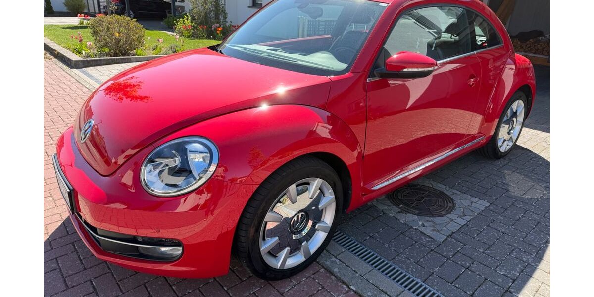 VW Beetle 51.000 km 10.600 &euro; Flechtorf 38165