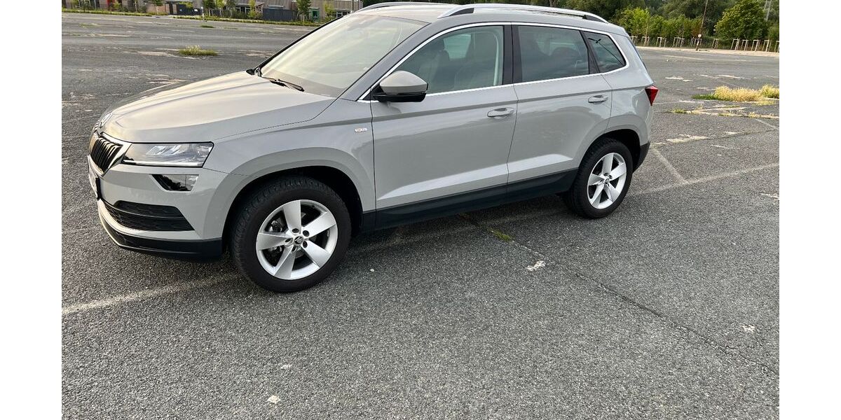 Skoda Karoq 65.000 km 17.990 &euro; Braunschweig 38106