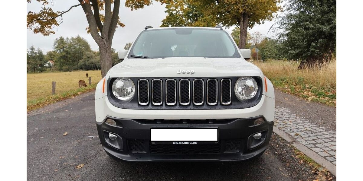 Jeep Renegade 57.200 km 14.500 &euro; Edemissen 31234