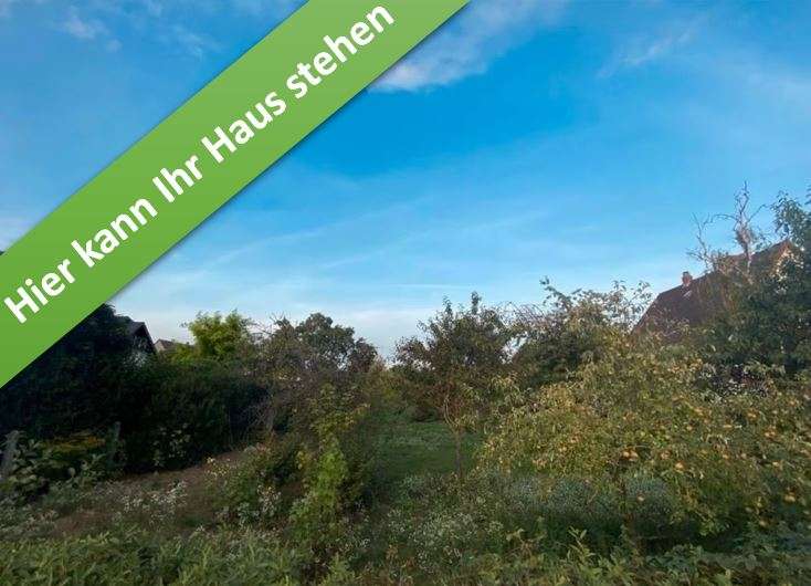 Haus zum Kaufen in Wipshausen 373.850 € 133 m²