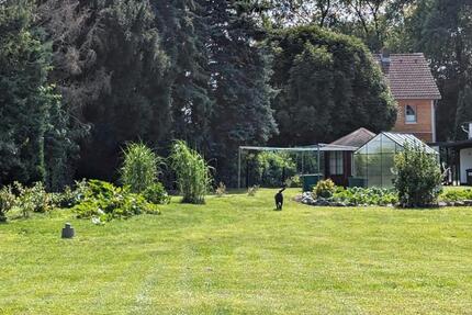 Haus Salzgitter Ortschaft Nord - 44 Zimmer, 400 m&sup2;, 650.000&euro; | Angebot:24478658