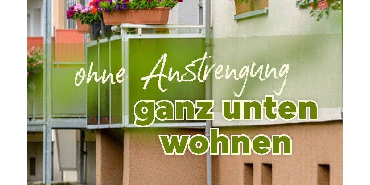 Ideal für Faule, Hunde und Kinderwagen 3 zimmer