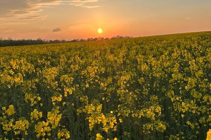 Wohnung Wolfenbüttel - 3 Zimmer, 66 m&sup2;, 126.000&euro; | Angebot:25446154