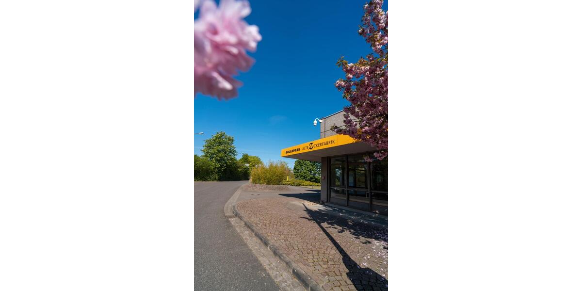 Gewerbeobjekt Vechelde - 950&euro; | Angebot:24313746