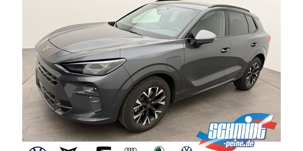 Cupra Terramar 25.940 km 38.600 &euro; Peine 31226