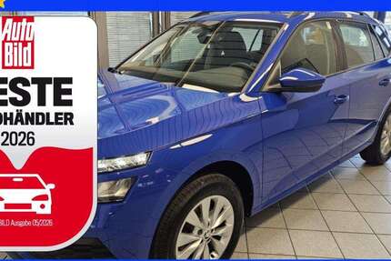 Skoda Kamiq 49.500 km 15.250 &euro; Wolfsburg Heiligendorf 38444