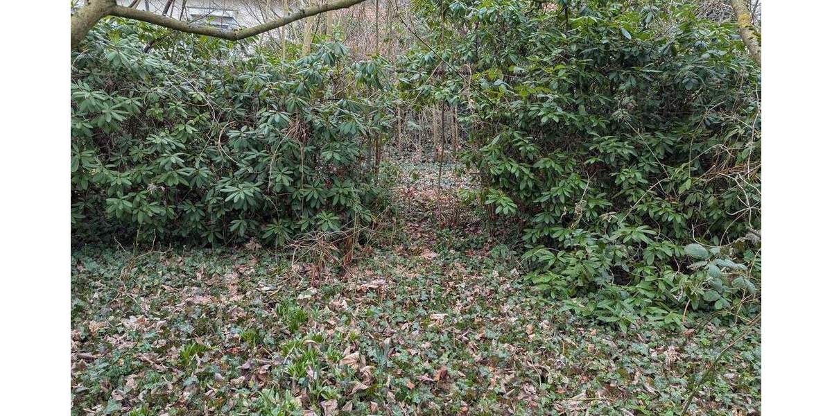 Doppelhaushälfte Salzgitter Bad - 6 Zimmer, 123 m&sup2;, 169.000&euro; | Angebot:25804040