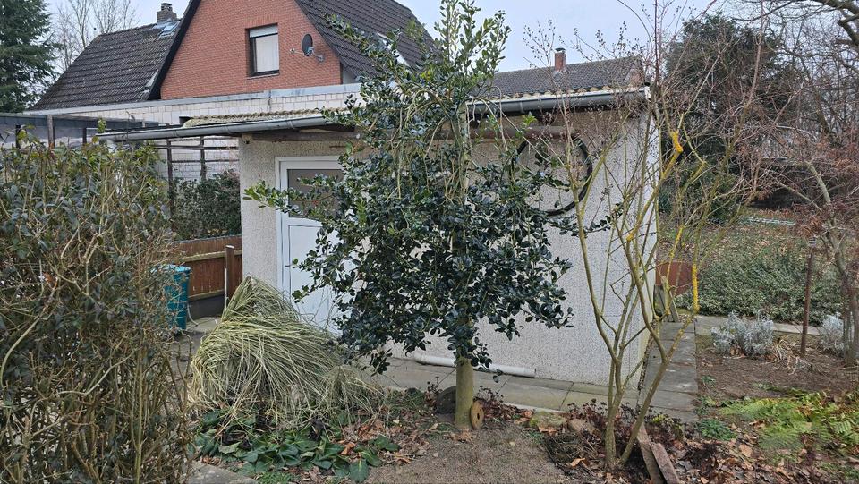 Mehrfamilienhaus, Wohnhaus Salzgitter Ortschaft Ost - 6 Zimmer, 190 m&sup2;, 240.000&euro; | Angebot:25640652