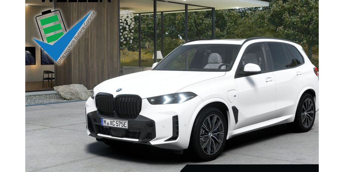 BMW X5 22.490 km 81.950 &euro; Braunschweig 38112