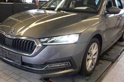 Skoda Octavia 116.600 km 21.490 € Braunschweig Wenden 38110