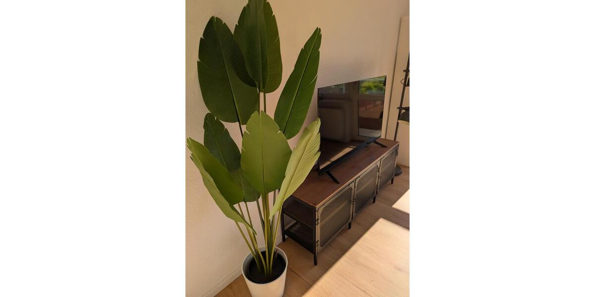 Etagenwohnung Salzgitter Ortschaft Ost - 3 Zimmer, 60 m&sup2;, 800&euro; | Angebot:25937155