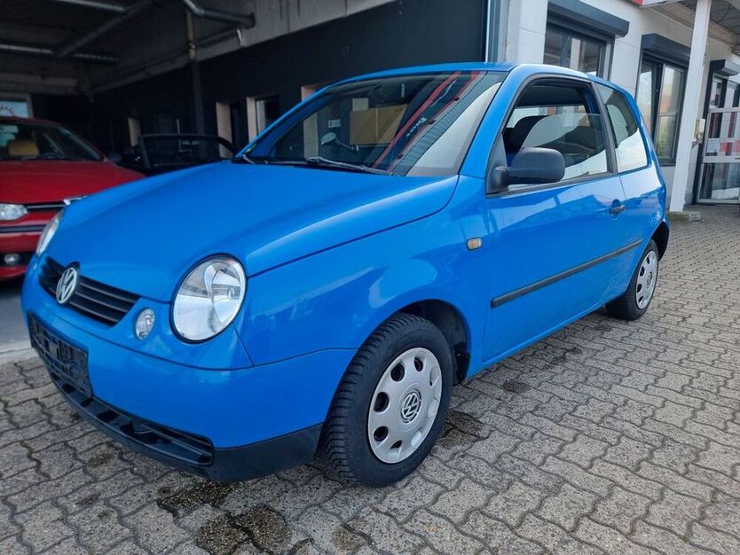 Lupo
