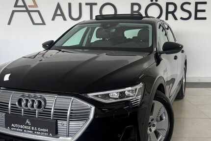 Audi e-tron 30.200 km 26.890 &euro; Braunschweig 38114