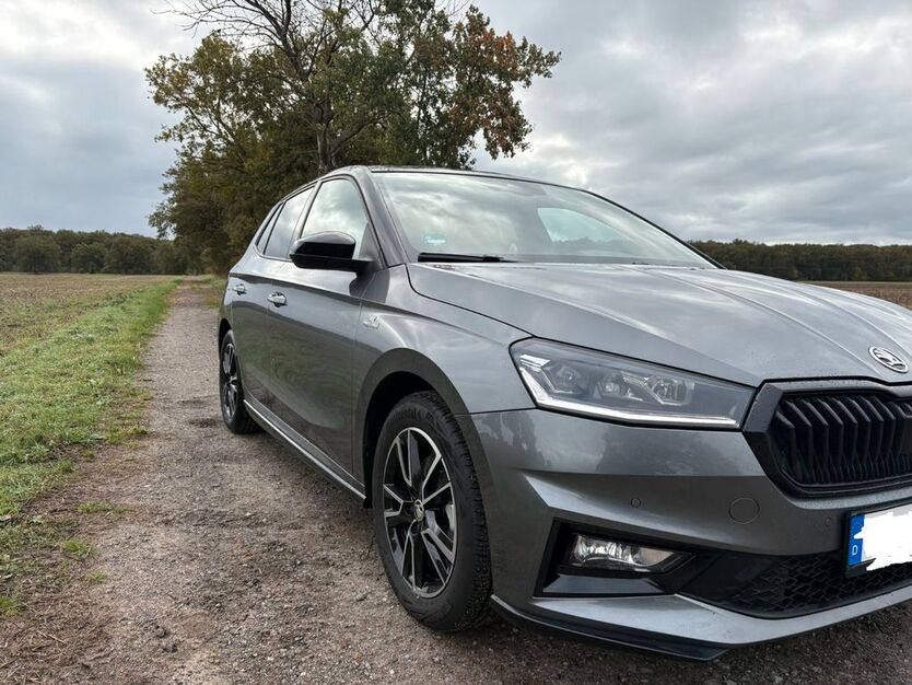 Skoda Fabia 9.500 km 21.000 € Vordorf 38533