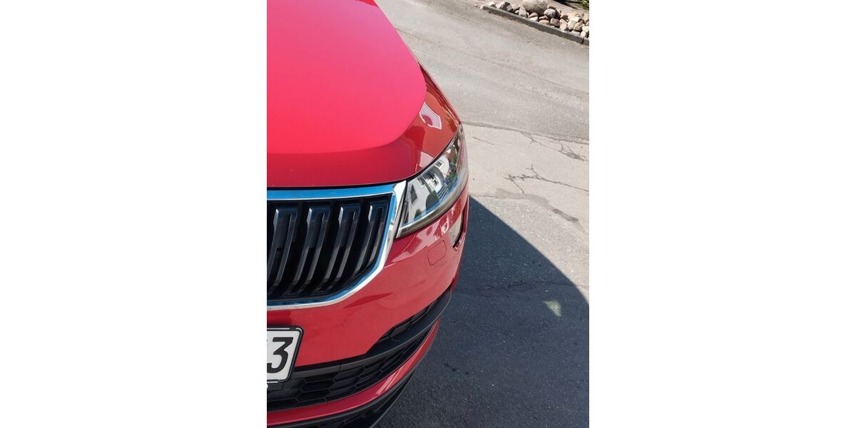 Skoda Karoq 110.339 km 21.000 &euro; Wendeburg 38176