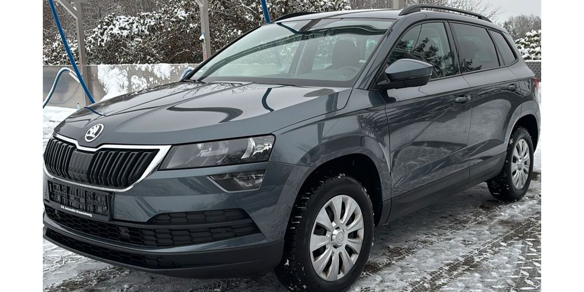 Skoda Karoq 106.000 km 16.990 &euro; Braunschweig 38112