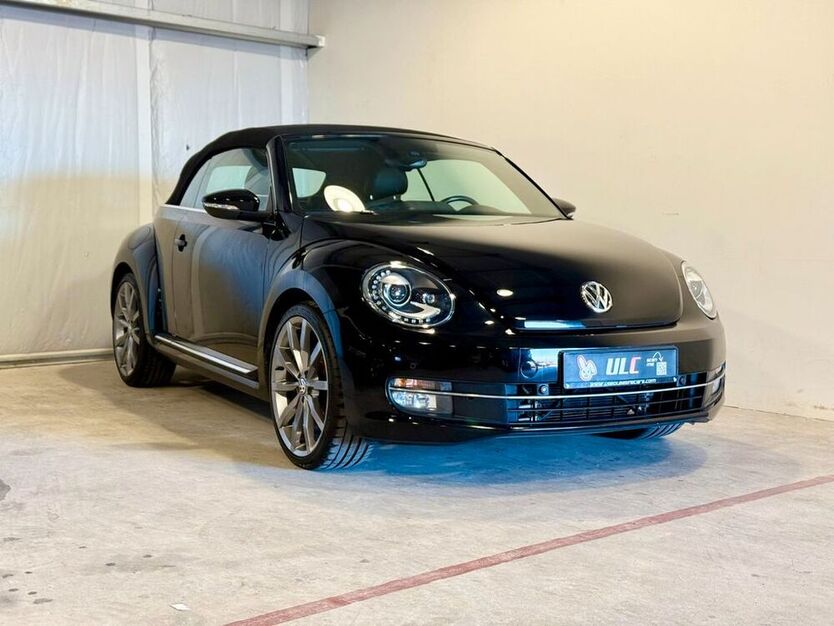 Beetle
