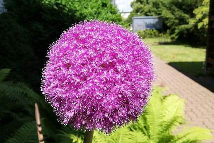 Gewerbeobjekt Wolfenbüttel Stadtgebiet - 4.990&euro; | Angebot:25290616