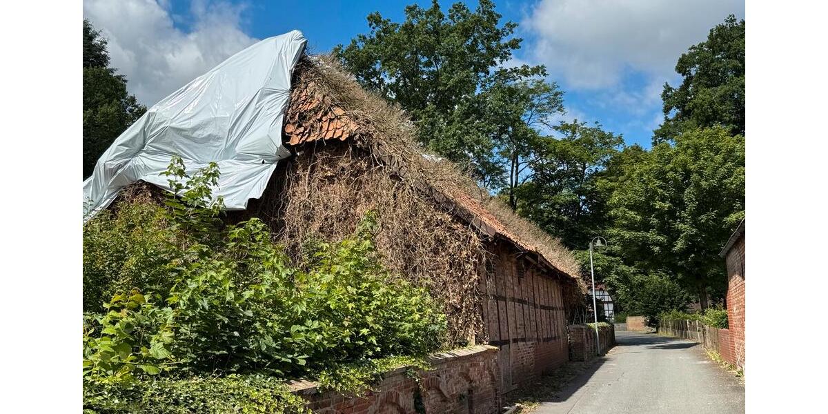 Gewerbeobjekt Edemissen - 5.000&euro; | Angebot:24743321