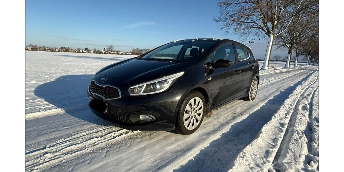 Kia ceed / Ceed 124.999 km 6.699 &euro; Peine 31224
