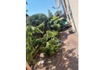 Doppelhaushälfte Calberlah - 4 Zimmer, 110 m&sup2;, 350.000&euro; | Angebot:27204636