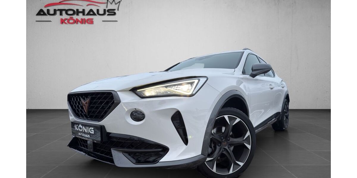 Cupra Formentor 123.600 km 20.900 &euro; Salzgitter 38259