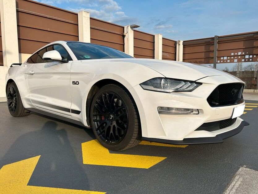 Mustang