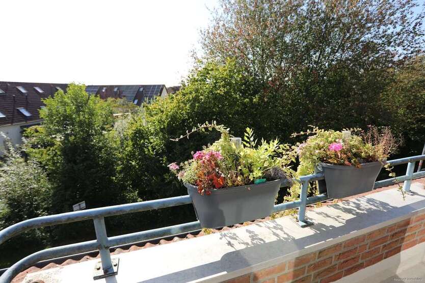 Wohnung zum Kaufen in Gifhorn Kästorf 119.000 € 65 m² 2 zimmer