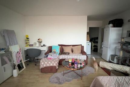Wohnung Wolfenbüttel Adersheim - 1 Zimmer, 34 m&sup2;, 395&euro; | Angebot:25115289