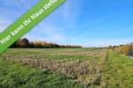 Einfamilienhaus Peine Schmedenstedt - 5 Zimmer, 142 m&sup2;, 375.590&euro; | Angebot:26820032