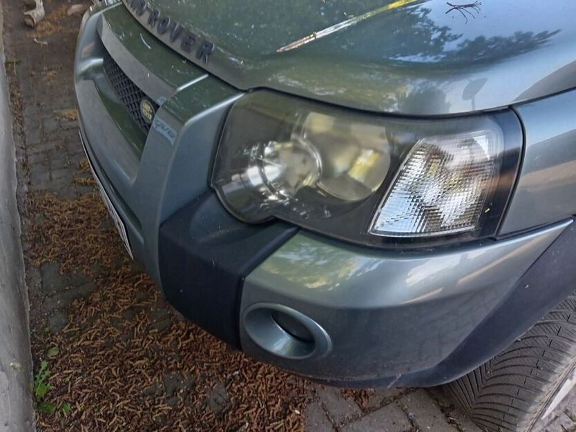 Freelander
