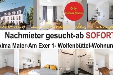 Stundetenwohnung Neubau am exer 43 Wolfenbüttel ab sofort!! 1 zimmer