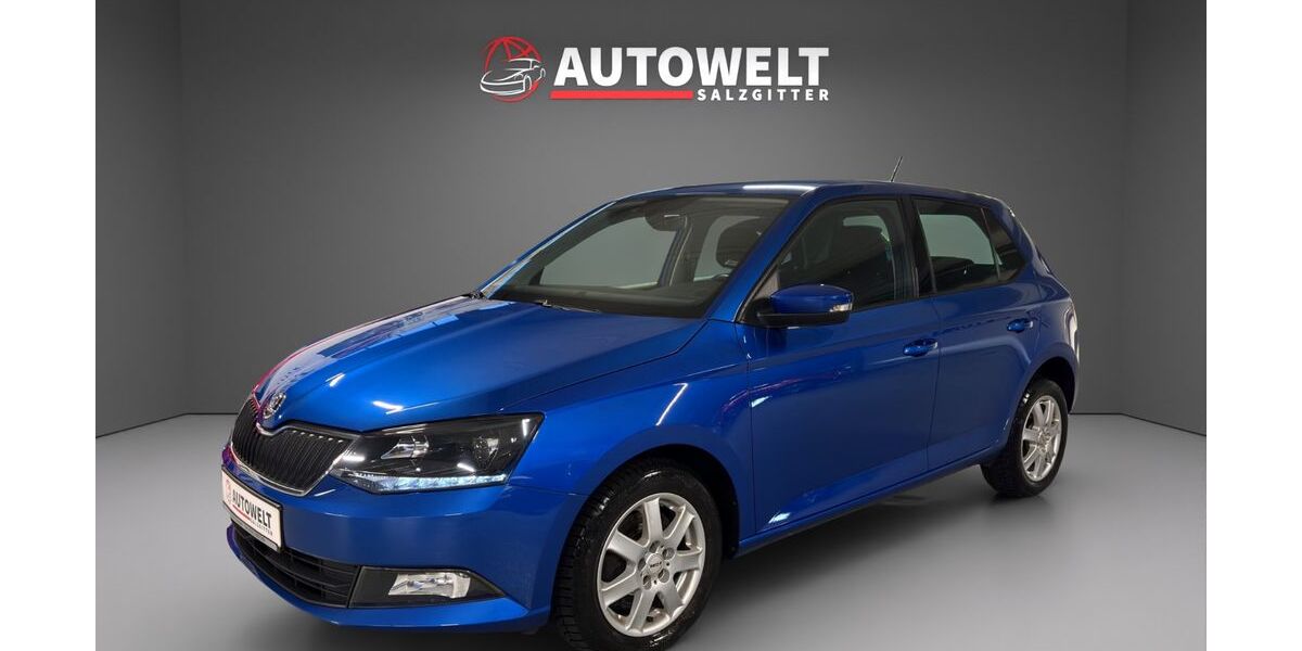 Skoda Fabia 31.000 km 13.900 &euro; Salzgitter 38229