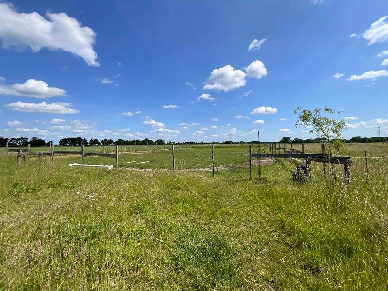 Einfamilienhaus Edemissen Voigtholz-Ahlemissen - 5 Zimmer, 230 m&sup2;, 699.000&euro; | Angebot:24405859