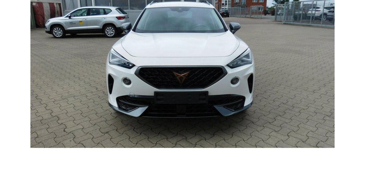 Cupra Formentor 1.5 TSI BMT Klima LED Alu 18.400 km 20.390 &euro; Vordorf 38533