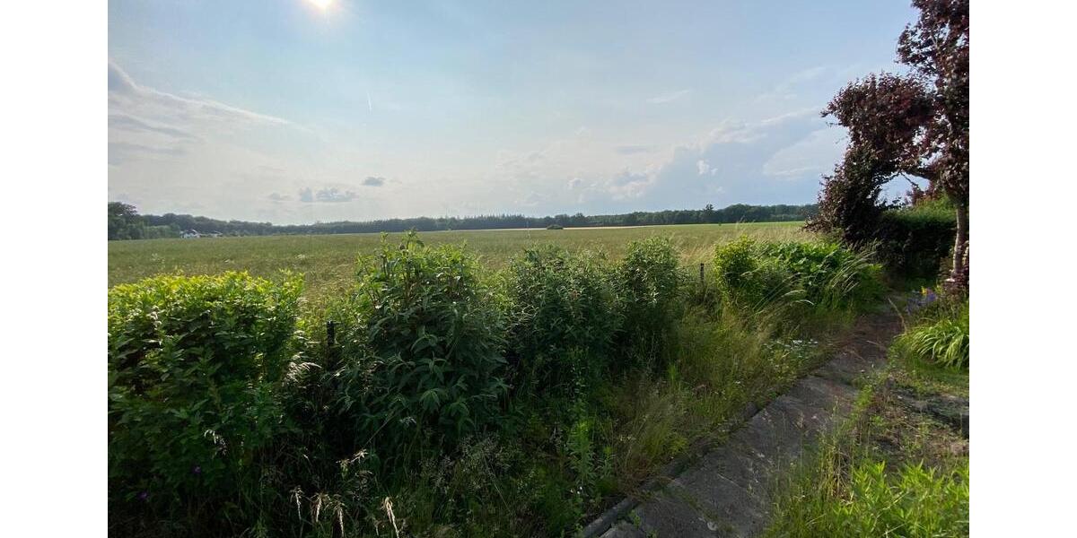 Doppelhaushälfte Wolfsburg - 4 Zimmer, 140 m&sup2;, 1.600&euro; | Angebot:23547187