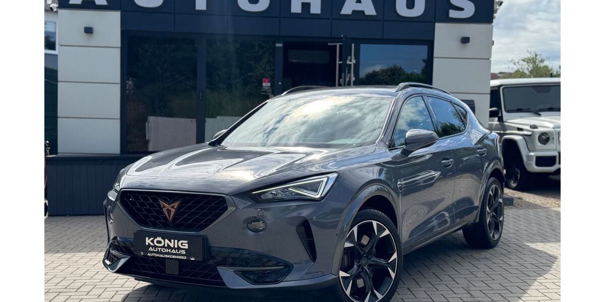 Cupra Formentor 63.180 km 28.999 &euro; Salzgitter 38259