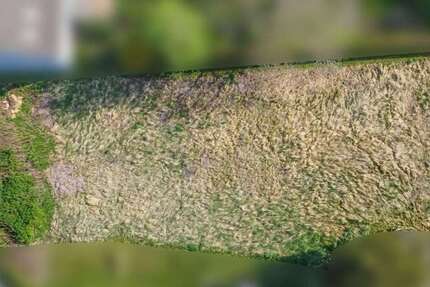 Grundstück Liebenburg / Groß Döhren Groß Döhren - 49.000&euro; | Angebot:25099482