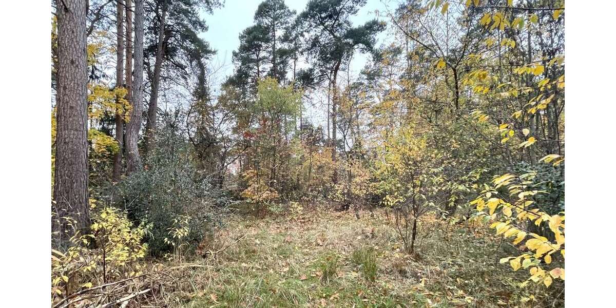 Grundstück Gifhorn - 199.000&euro; | Angebot:23551636