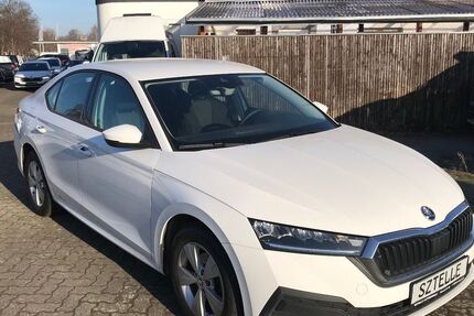 Skoda Octavia 186.129 km 12.999 &euro; Braunschweig 38110