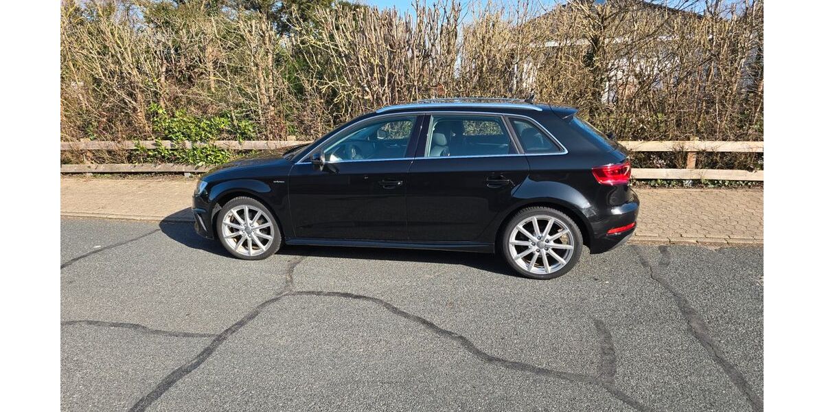 Audi e-tron 111.000 km 17.500 &euro; Meine 38527