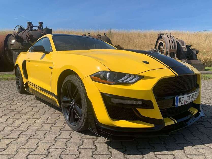 Mustang